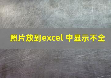 照片放到excel 中显示不全